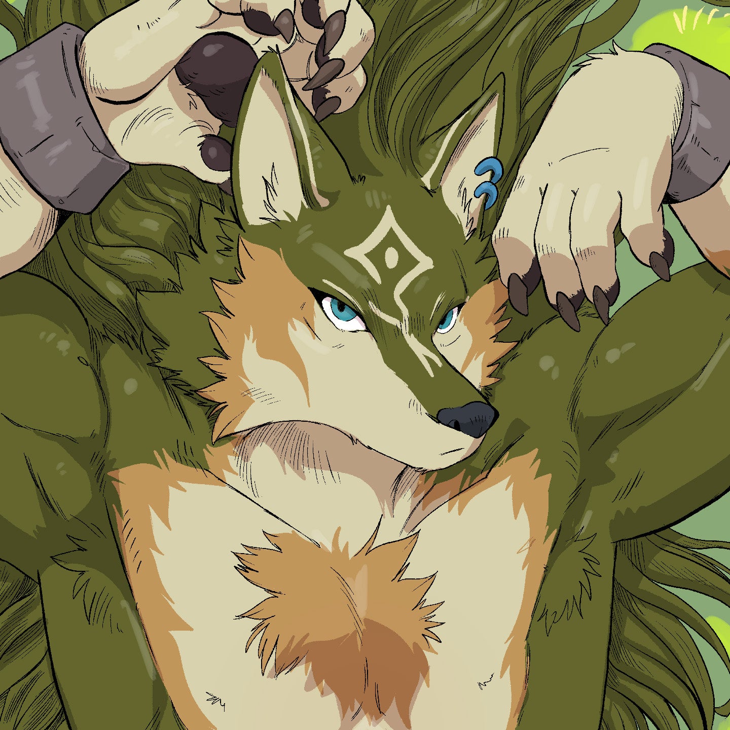 Wolf Link